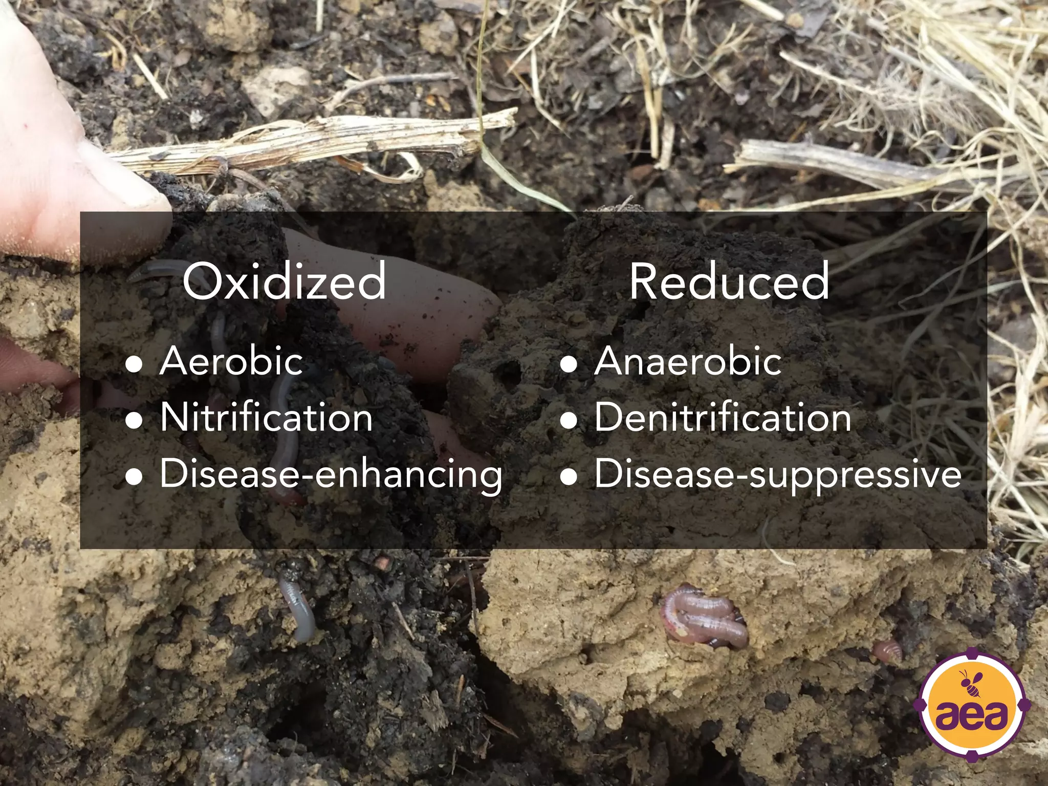 ● Aerobic
● Nitrification
● Disease-enhancing
Oxidized
● Anaerobic
● Denitrification
● Disease-suppressive
Reduced