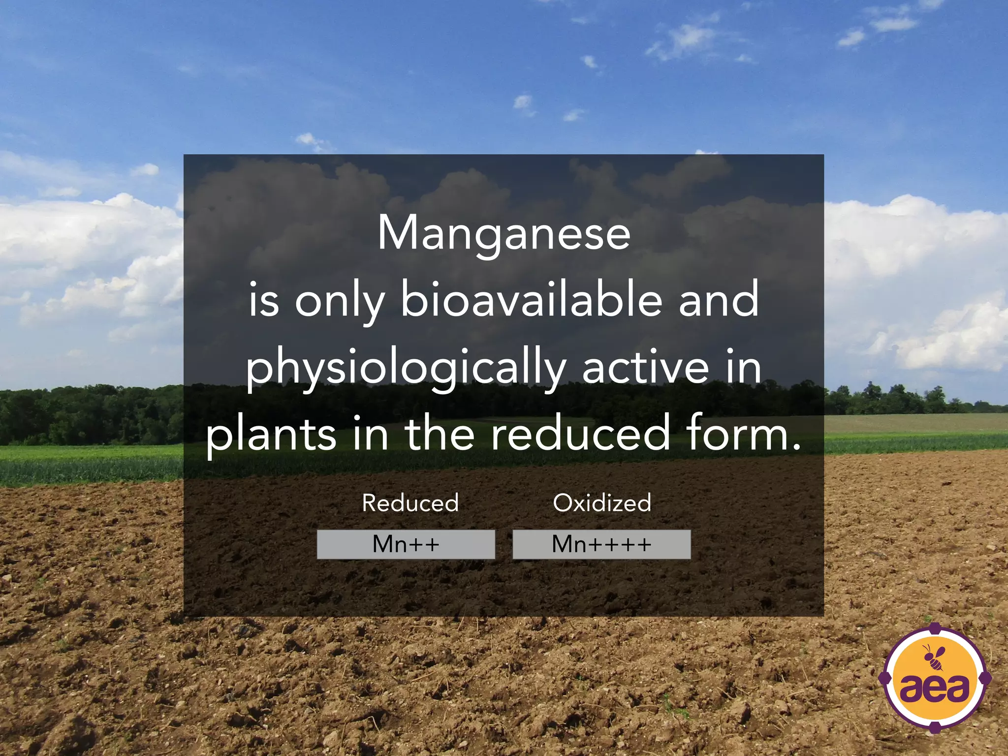 Manganese
is only bioavailable and
physiologically active in
plants in the reduced form.
Mn++ Mn++++
Reduced Oxidized
