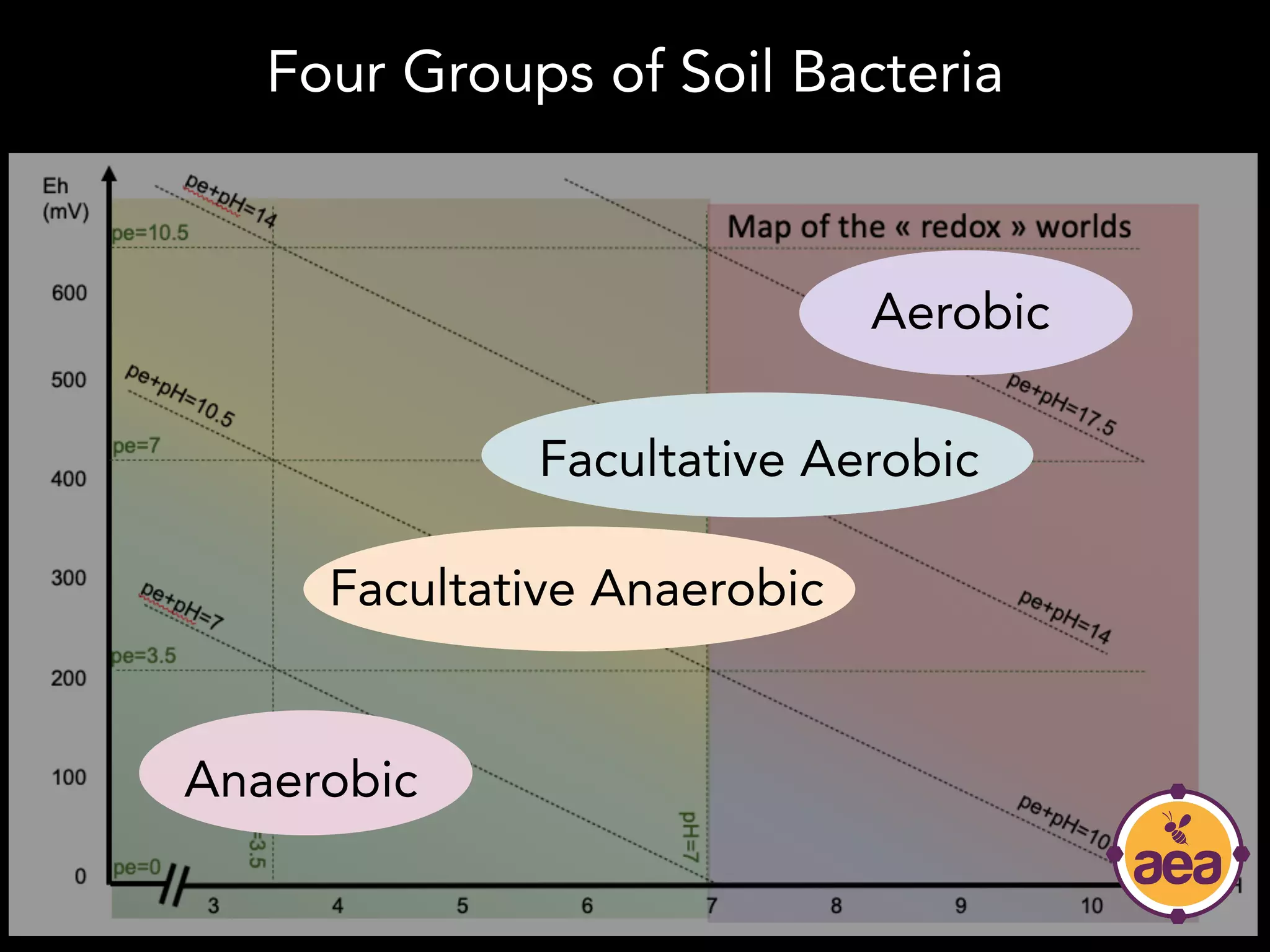 Aerobic
Four Groups of Soil Bacteria
Anaerobic
Facultative Anaerobic
Facultative Aerobic