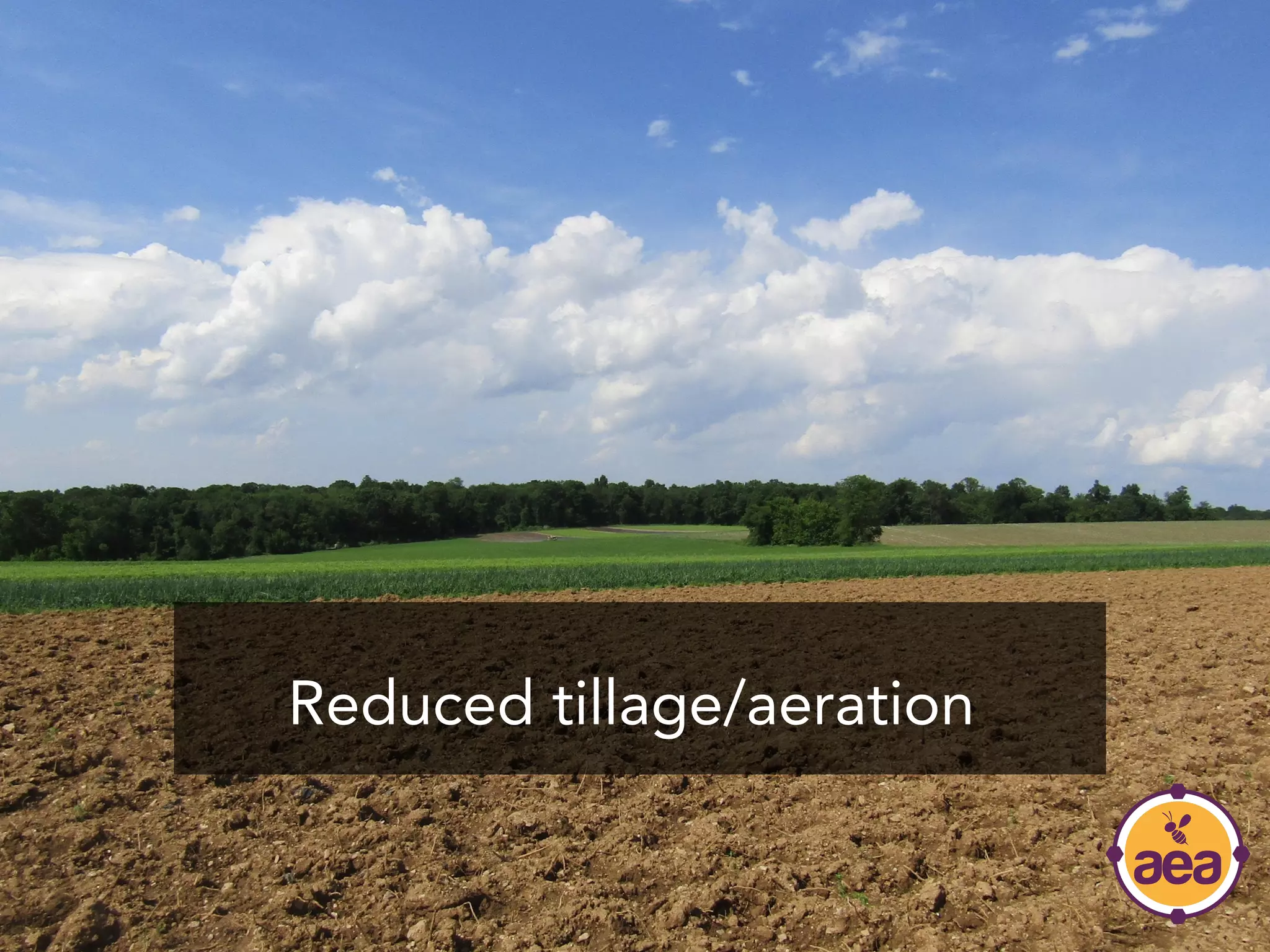 Reduced tillage/aeration