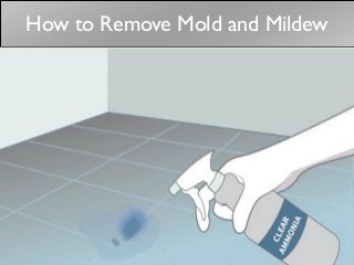 How to Remove Mold and Mildew
 