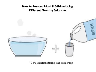 How to Remove Mold & Mildew Using
Different Cleaning Solutions
1. Try a mixture of bleach and warm water.
 