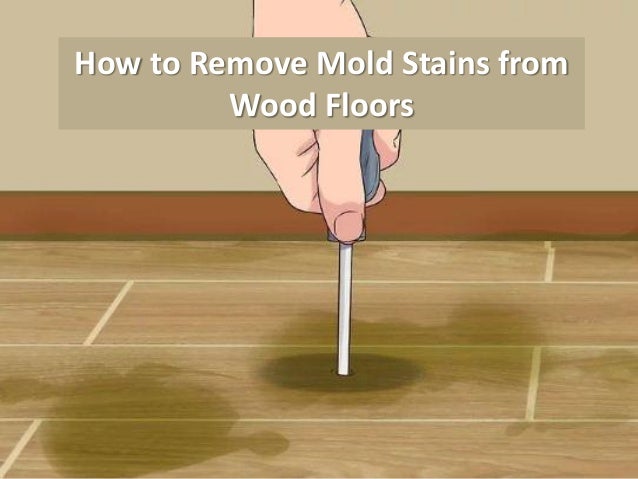How To Remove Mold Stains From Wood Floors By Carolina Water Damage R