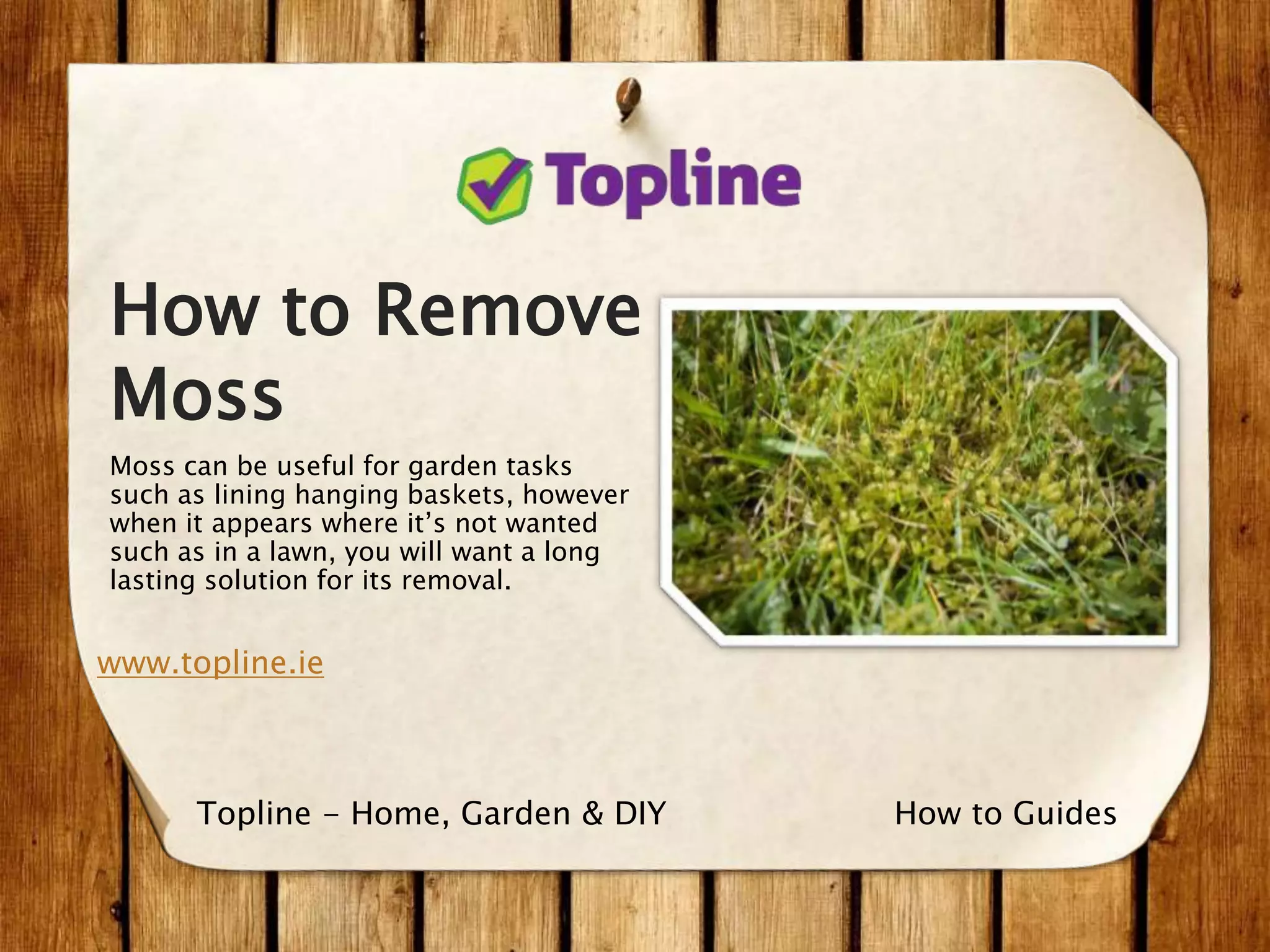How To Remove Garden Moss in 6 Easy Steps PPT