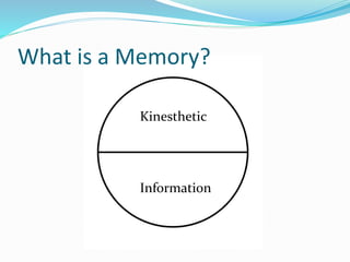 What is a Memory?
Kinesthetic
Information
 