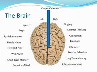 The Brain Left Right
Speech
Spatial Awareness
Simple Maths
Here and Now
Will Power
Short Term Memory
Logic
Conscious Mind
Singing
Abstract Thinking
Connection
Emotions
Character
Routine Behaviour
Long Term Memory
Subconscious Mind
Corpus Callosum
 