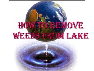How To RemoveHow To Remove
weeds FRom Lakeweeds FRom Lake
 