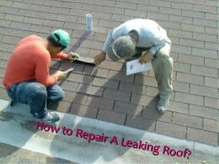 How to Repair A Leaking Roof?
How to Repair A Leaking Roof?
 