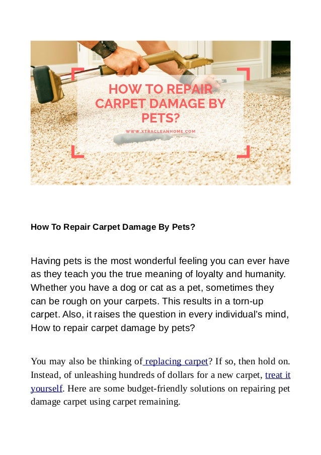 How To Repair Carpet Holes And Tears Carpet Repair Carpet Cleaning Hacks Deep Carpet Cleaning