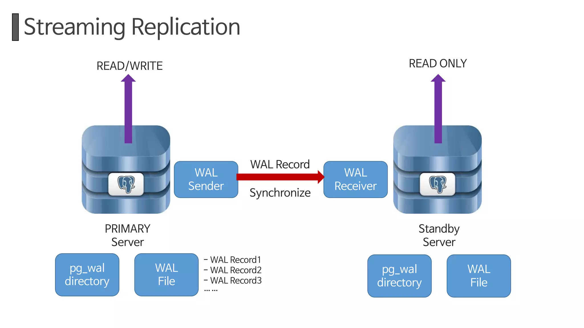 Streaming Replication
PRIMARY
Server
Standby
Server
WAL
Sender
WAL
Receiver
WAL Record
READ ONLYREAD/WRITE
pg_wal
directory
WAL
File
pg_wal
directory
WAL
File
Synchronize
- WAL Record1
- WAL Record2
- WAL Record3
……
 