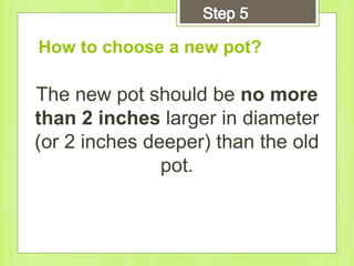 The new pot should be no more
than 2 inches larger in diameter
(or 2 inches deeper) than the old
pot.
How to choose a new pot?
 