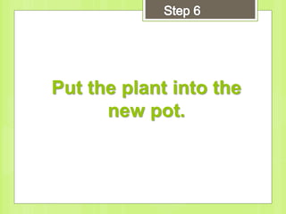 Put the plant into the
new pot.
 