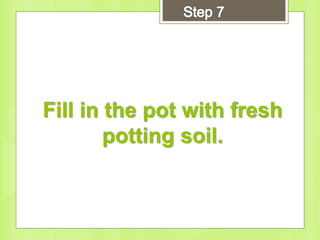 Fill in the pot with fresh
potting soil.
 