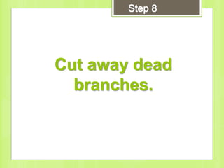 Cut away dead
branches.
 