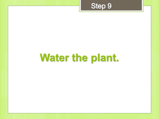 Water the plant.
 