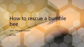 And why you should!
By Isla
How to rescue a bumble
bee
 