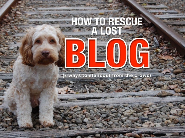 BLOGBLOG
HOW TO RESCUE
A LOST
(7 ways to standout from the crowd)
 
