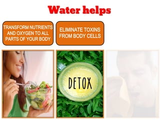 Water helps
transform nutrients
and oxygen to all
parts of your body
eliminate toxins
from body cells
 