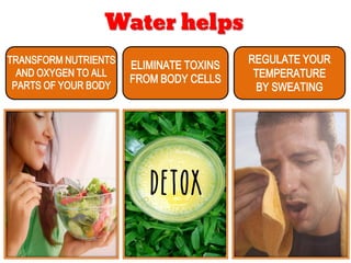 Water helps
transform nutrients
and oxygen to all
parts of your body
eliminate toxins
from body cells
regulate your
temperature
by sweating
 