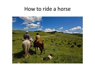 How to ride a horse
 