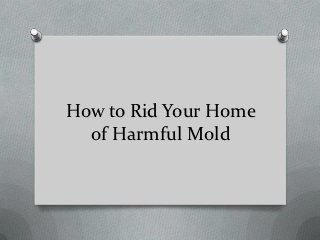 How to Rid Your Home
  of Harmful Mold
 