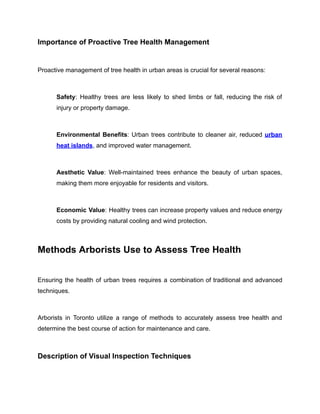 How Toronto Arborists Assess and Manage Tree Health Risks in Urban ...
