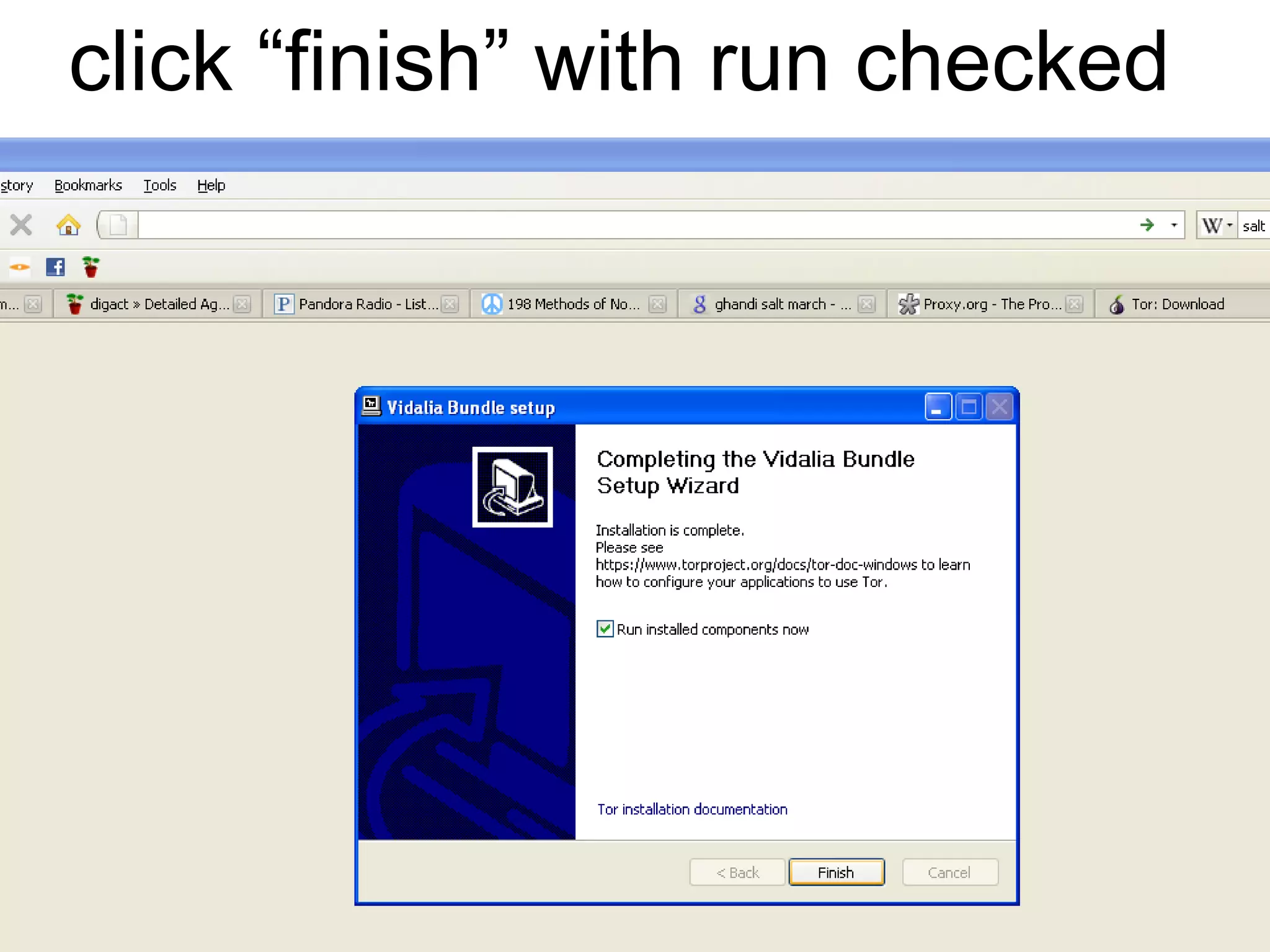 click “finish” with run checked