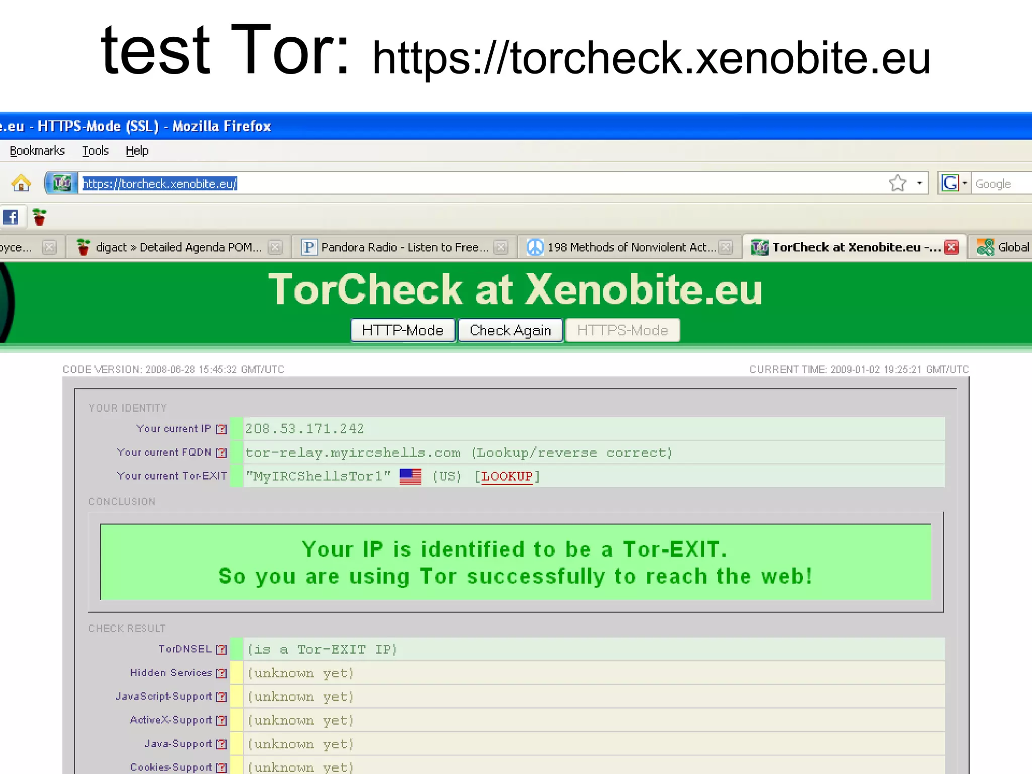 test Tor: https://torcheck.xenobite.eu