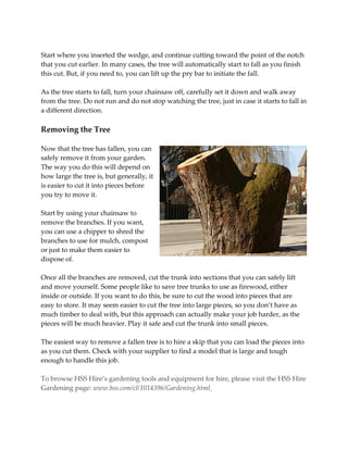 How to Safely Cut Down a Tree and Remove it from Your Garden | PDF ...