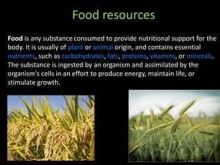 Food resources
Food is any substance consumed to provide nutritional support for the
body. It is usually of plant or animal origin, and contains essential
nutrients, such as carbohydrates, fats, proteins, vitamins, or minerals.
The substance is ingested by an organism and assimilated by the
organism's cells in an effort to produce energy, maintain life, or
stimulate growth.
 