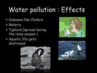  Diseases like Cholera
 Malaria
 Typhoid (spread during
the rainy season )
 Aquatic life gets
destroyed
Water pollution : Effects
 