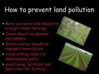 How to prevent land pollution
 More and more land should be
brought under farming.
 Trees should be planted
everywhere.
 Waste matter should be
disposed immediately
 Avoid drilling lands for
underground water.
 Avoid using fertilizer and
pesticides for farming.
 