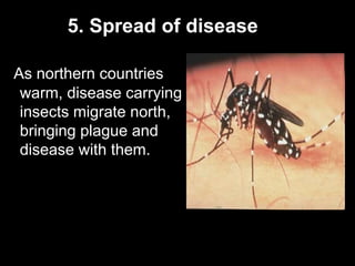 5. Spread of disease
As northern countries
warm, disease carrying
insects migrate north,
bringing plague and
disease with them.
 
