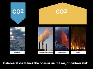 Deforestation leaves the oceans as the major carbon sink.
OCEANSOCEANS VOLCANOES FIRESCARBON EMISSIONS
CO2 CO2
 