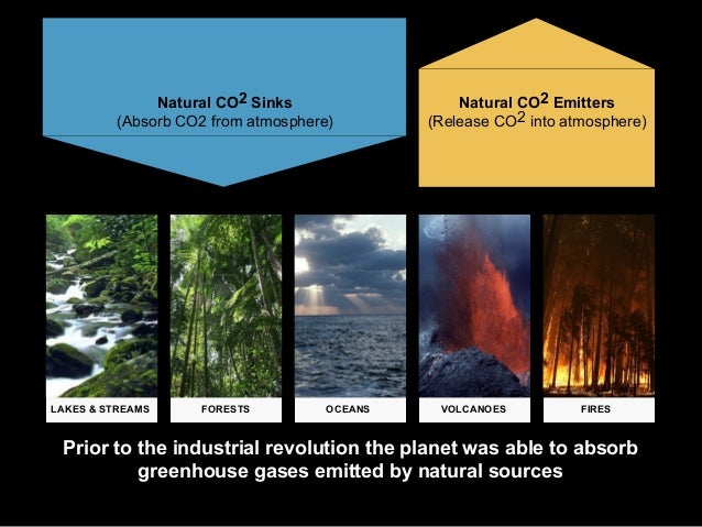 Earth S Carbon Sinks And Sources