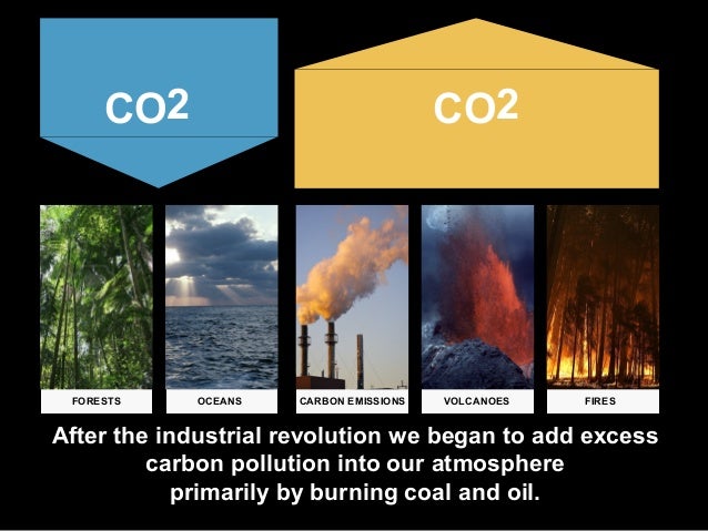 Earth S Carbon Sinks And Sources