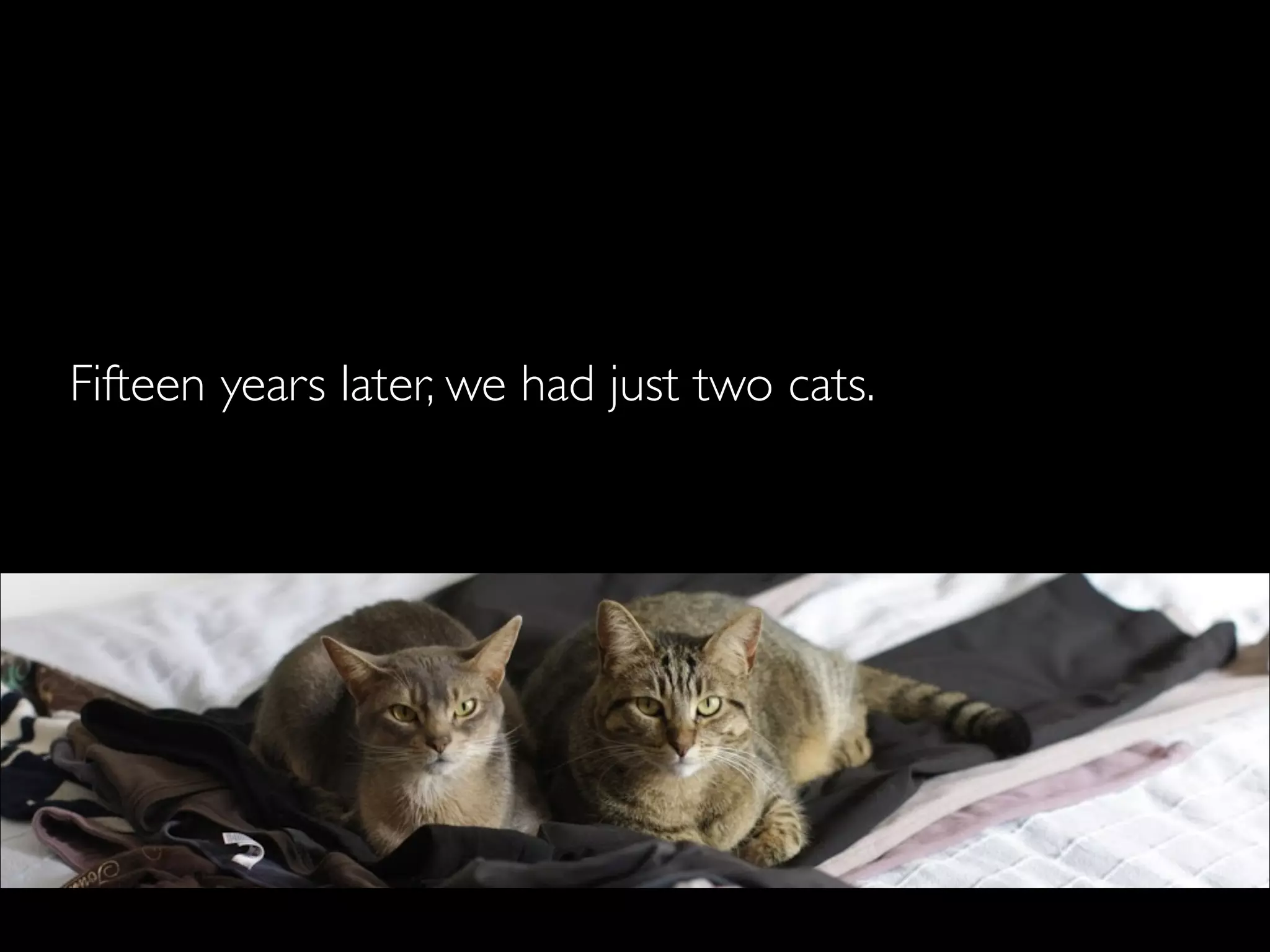 But it did not scale.



Fifteen years later, we had just two cats.
 