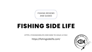 FISHING REVIEWS
AND GUIDES
HTTPS://FISHINGSIDELIFE.COM/HOW-TO-SCALE-A-FISH/
FISHING SIDE LIFE
https://fishingsidelife.com/
 