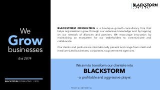PRIVATE & CONFIDENTIAL
BLACKSTORM CONSULTING | 2019
BLACKSTORM CONSULTING is a boutique growth consultancy firm that
helps...