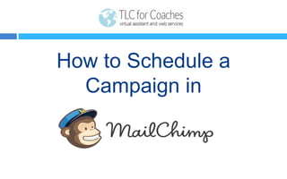 How to Schedule a
Campaign in
 
