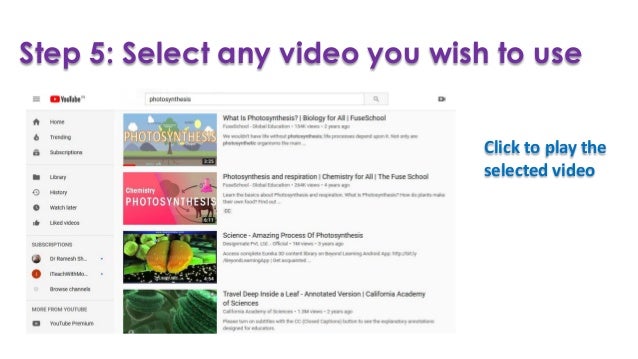flickr creative commons videos