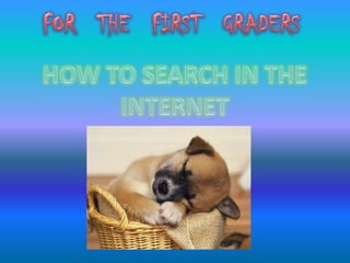 How to search in the internet