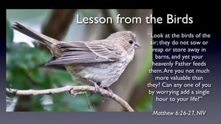 “Look at the birds of the
air; they do not sow or
reap or store away in
barns, and yet your
heavenly Father feeds
them.Are you not much
more valuable than
they? Can any one of you
by worrying add a single
hour to your life?”
Matthew 6:26-27, NIV
Lesson from the Birds
 