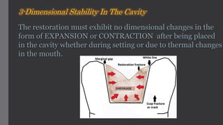 The restoration must exhibit no dimensional changes in the
form of EXPANSION or CONTRACTION after being placed
in the cavity whether during setting or due to thermal changes
in the mouth.
3-Dimensional Stability In The Cavity
 