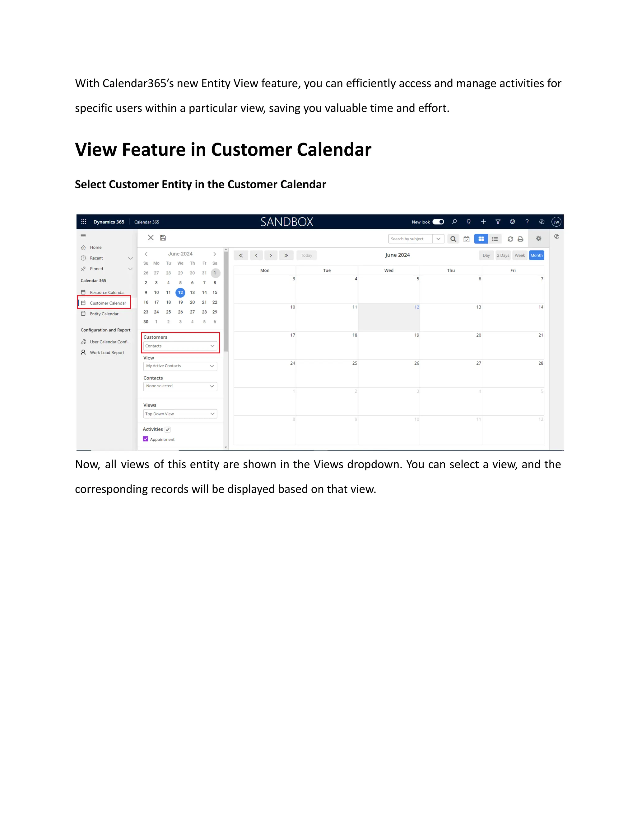 With Calendar365’s new Entity View feature, you can efficiently access and manage activities for
specific users within a particular view, saving you valuable time and effort.
View Feature in Customer Calendar
Select Customer Entity in the Customer Calendar
Now, all views of this entity are shown in the Views dropdown. You can select a view, and the
corresponding records will be displayed based on that view.