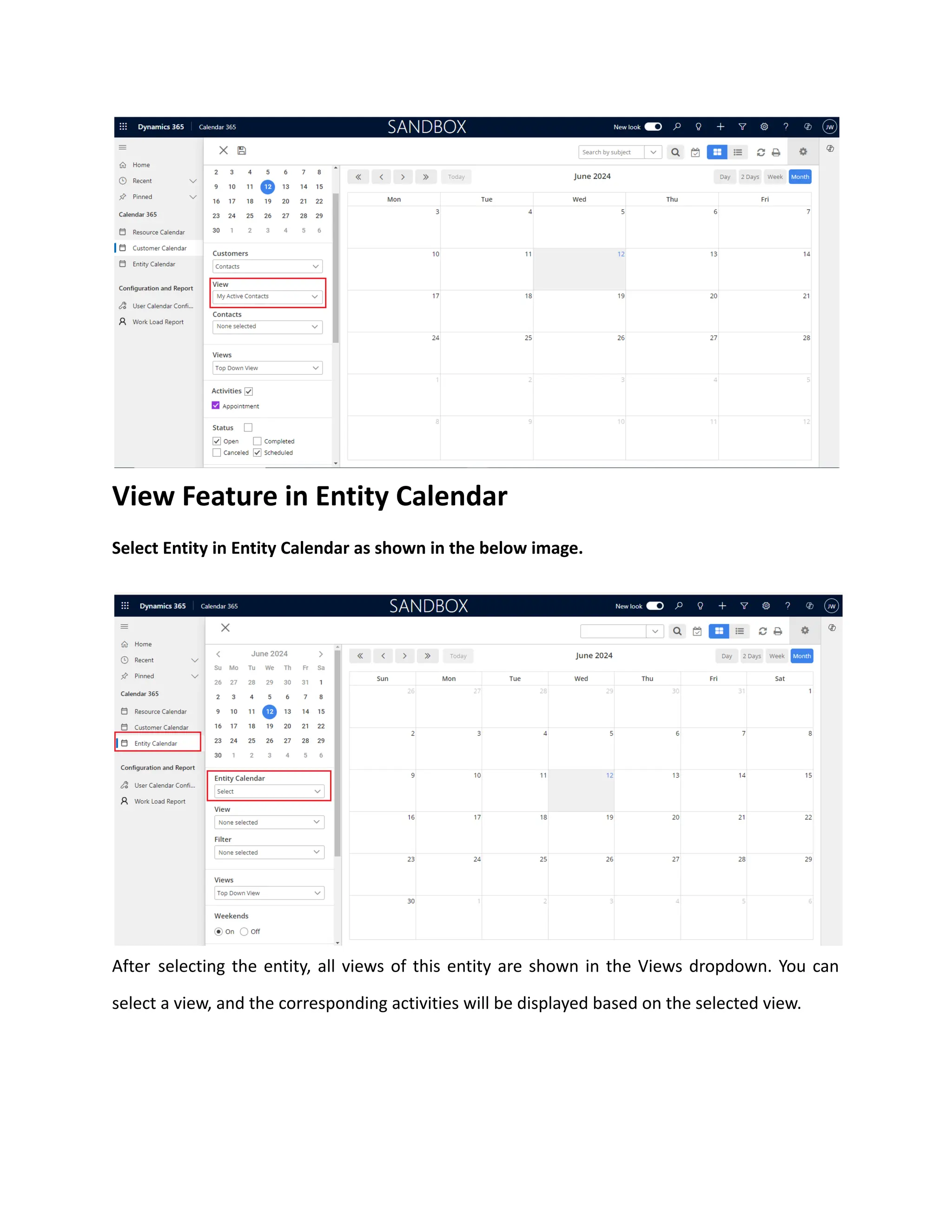 View Feature in Entity Calendar
Select Entity in Entity Calendar as shown in the below image.
After selecting the entity, all views of this entity are shown in the Views dropdown. You can
select a view, and the corresponding activities will be displayed based on the selected view.