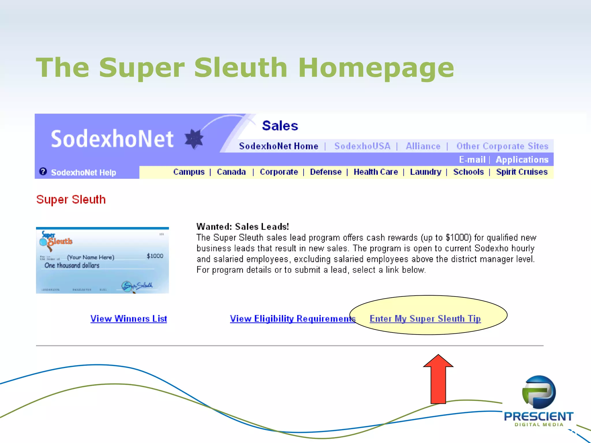 The Super Sleuth Homepage




                            30
 
