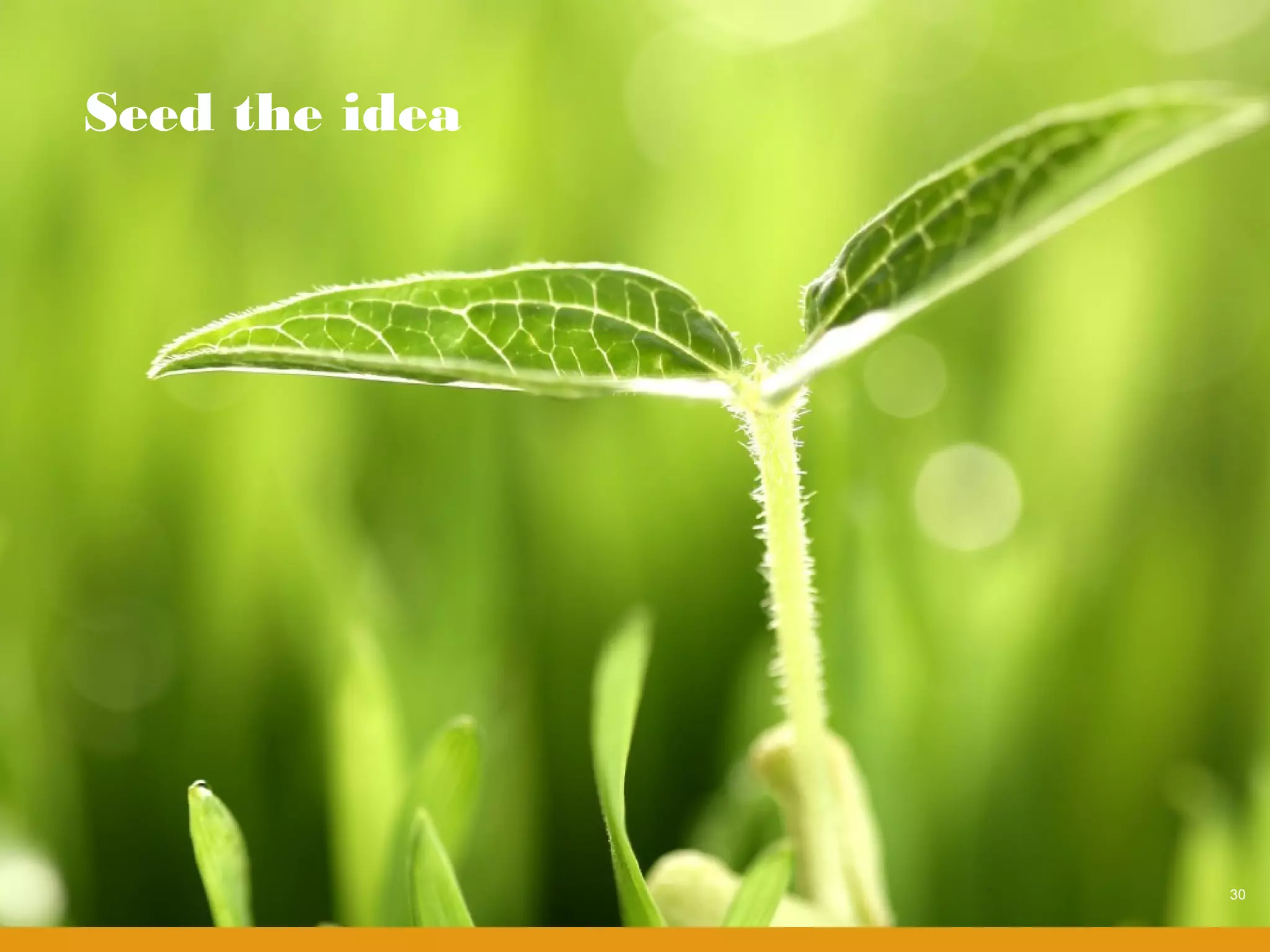 Seed the idea




                30
 