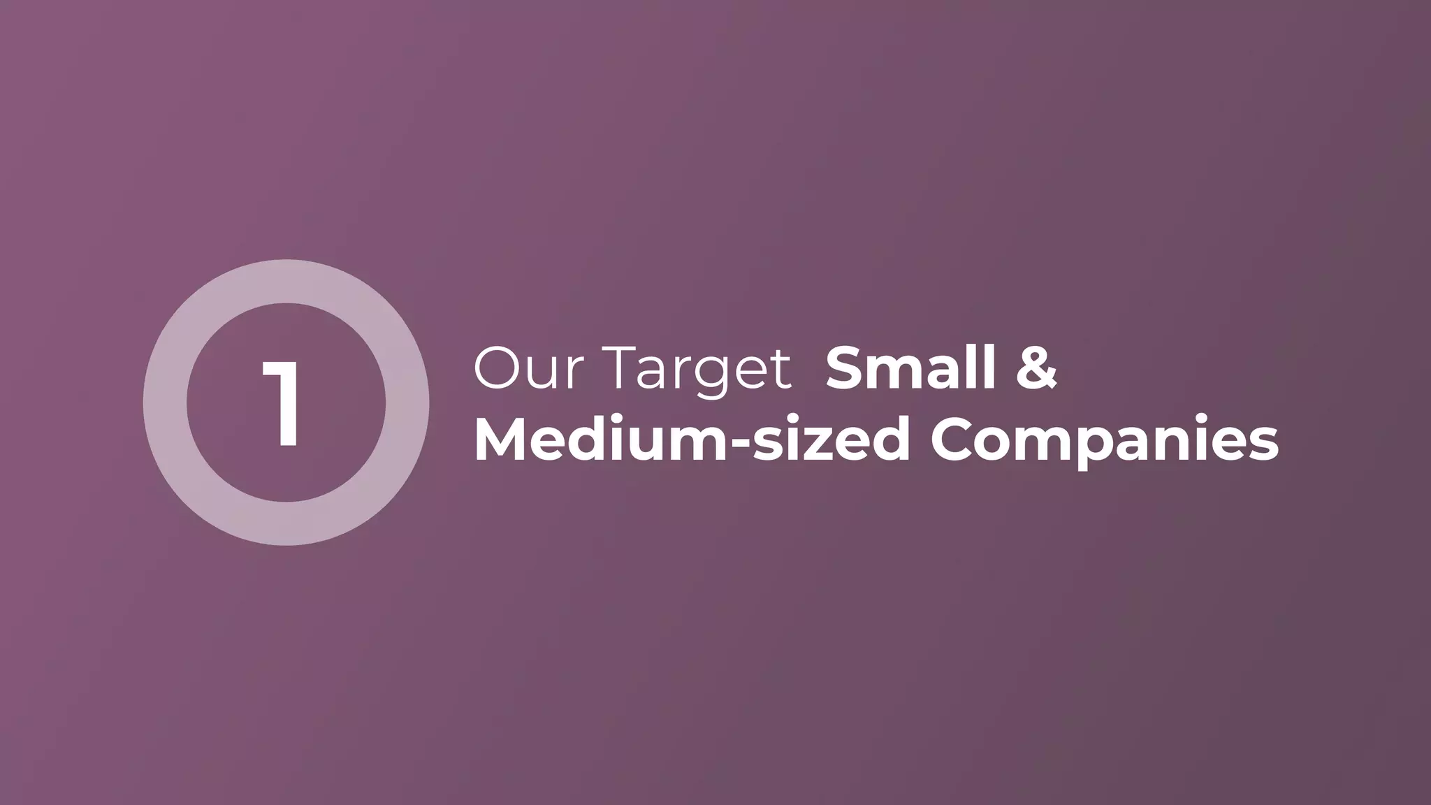 Our Target Small &
Medium-sized Companies1
 