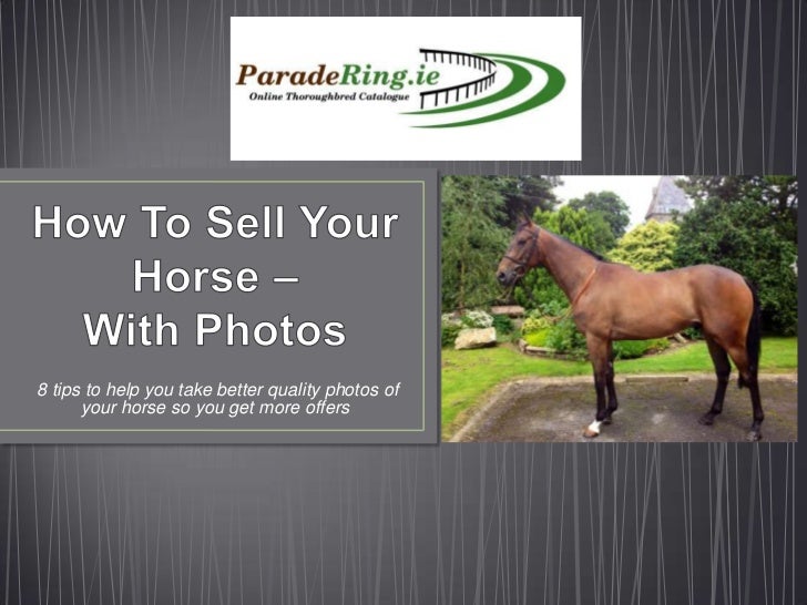 How To Sell Your Horse With Photos